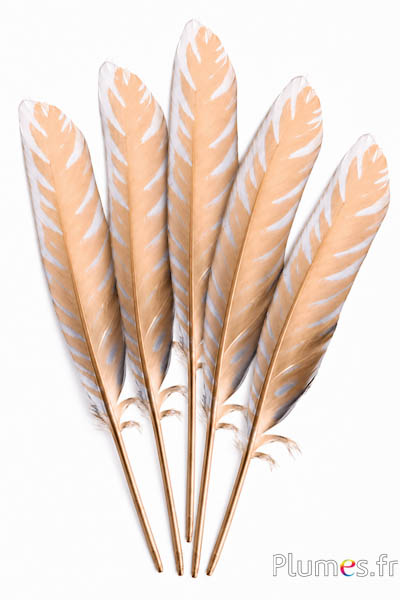 Zwaan - 30-33 cm - goudkleurig-zilverkleurig